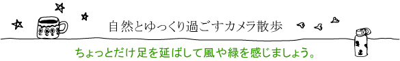 自然とゆっくり過ごすカメラ散歩ちょっとだけ足を延ばして風や緑を感じましょう。